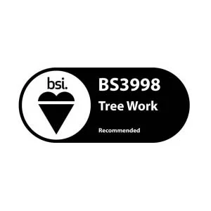 Tree surgeon BS3998 Tree work